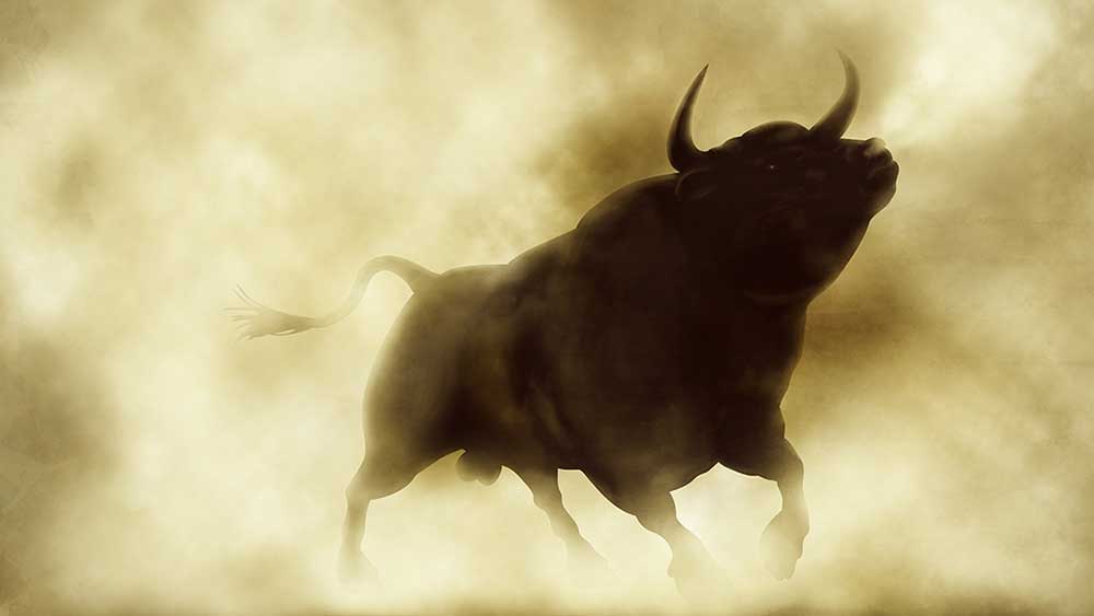 Dow Jones Futures: Stock Market Bulls In Control; Meta, Apple, Tesla In Buy Areas