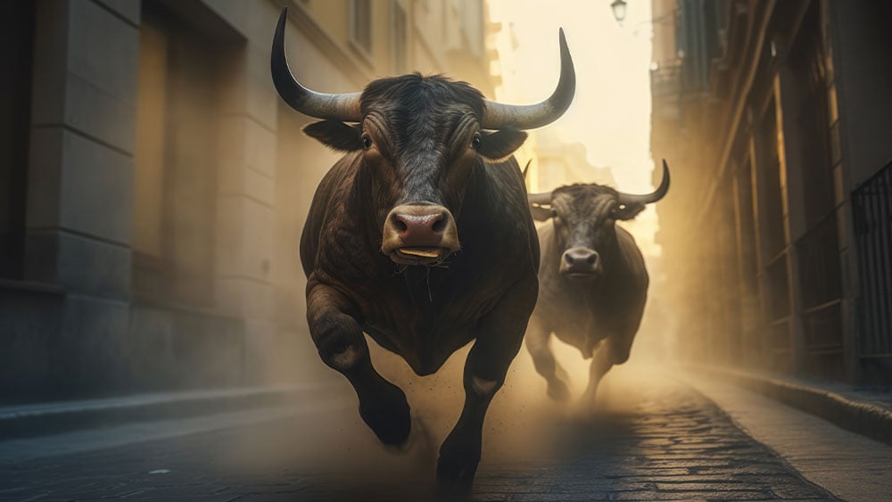 Dow Jones, S&P 500 Hit Highs And Leaders Run, So Here's What To Do; Tesla Triggers Sell Rule