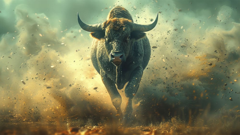 Dow Jones Futures: Bulls Run On AI, Trump Tariff News; Warren Buffett's Berkshire, Palantir, Tesla