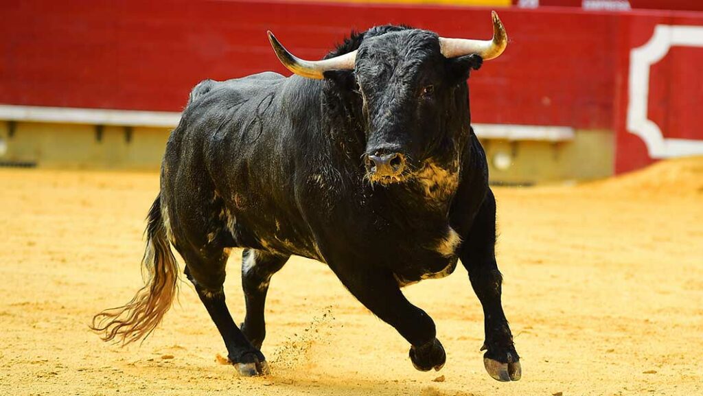Stock Market Today: Dow Jones, S&P 500 Rally; Alphabet Pops Ahead Of Earnings (Live Coverage)